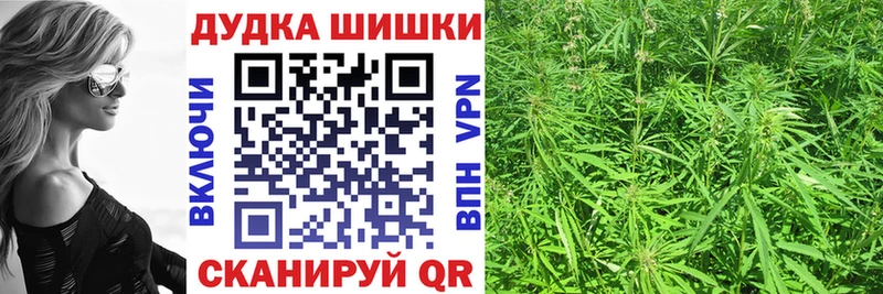 Бошки Шишки VHQ  Купить закладки  Сычёвка 